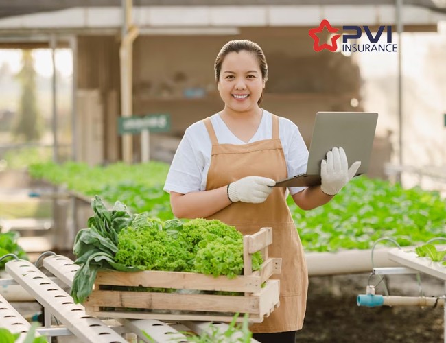 Bảo hiểm trách nhiệm sản phẩm PVI